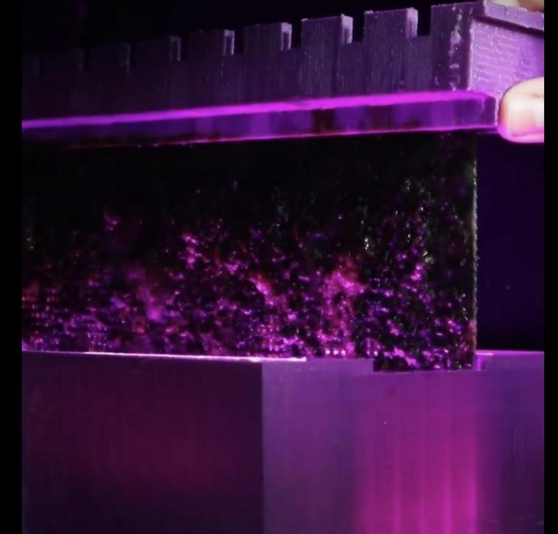 Aquarium Algae Scrubber