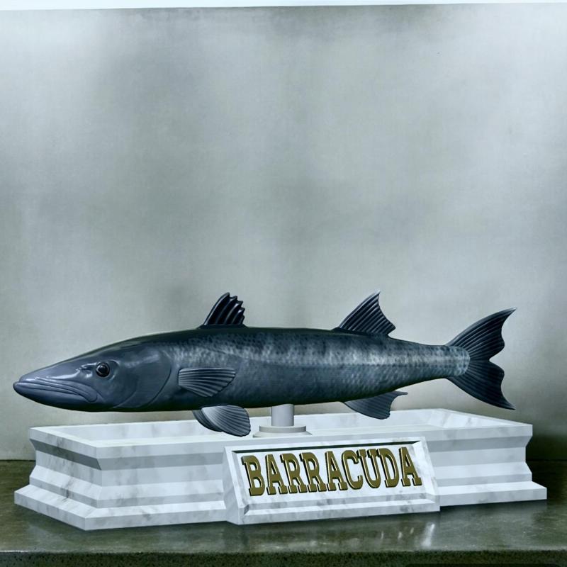 fish great barracuda / Sphyraena barracuda statue detailed texture for 3d printing