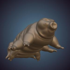 Tardigrade Type 1
