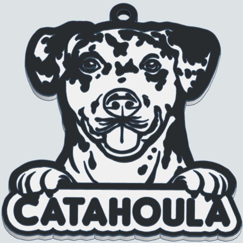 Catahoula key ring