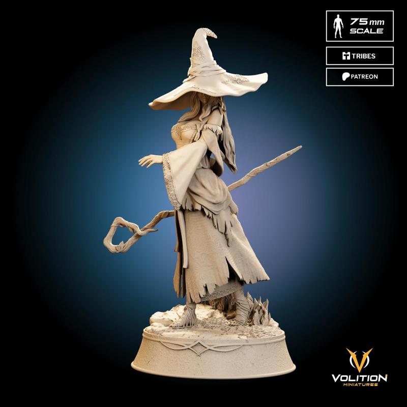 Recluse | Miniature | Elden Ring Nightreign FAN ART