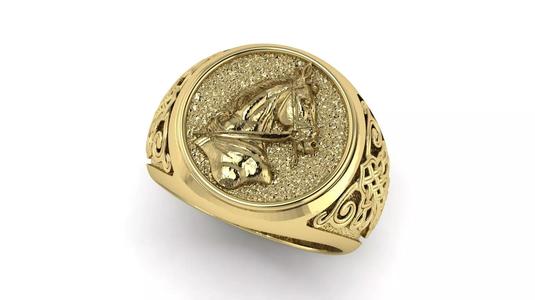 Horse Ring