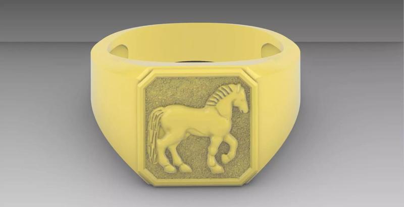 Horse Ring