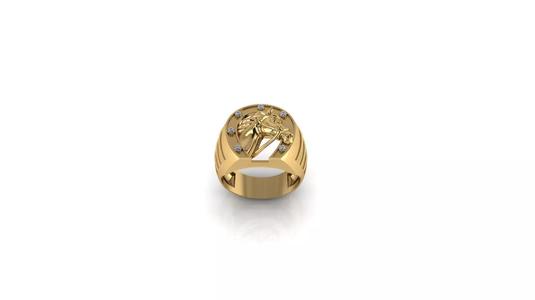 HORSE RING