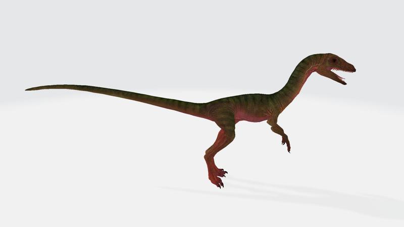 Eoraptor