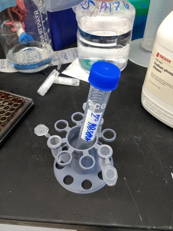 Stern Labs 15 50 holder