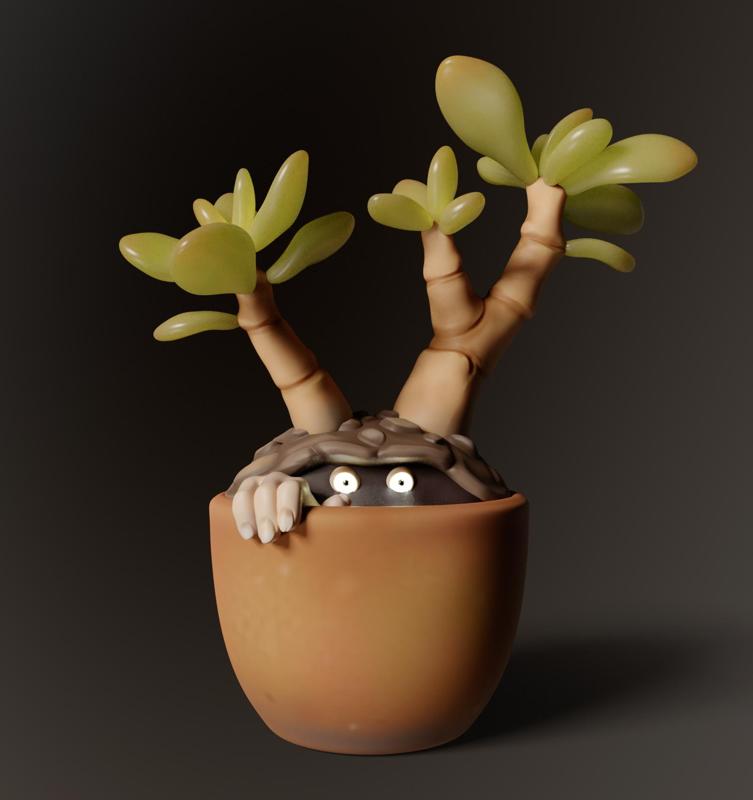 Crassula. Monster plant