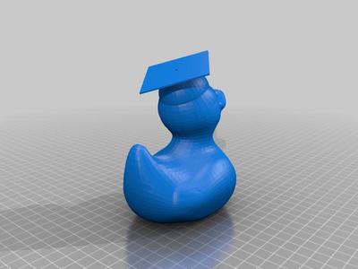 Graduation Rubber Duck