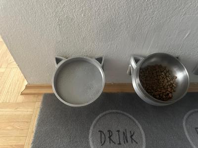 Cute Cat Bowl Wallmount