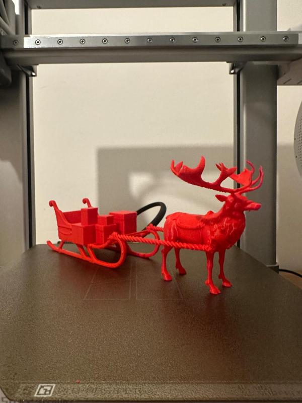 Reindeer pulling sledge
