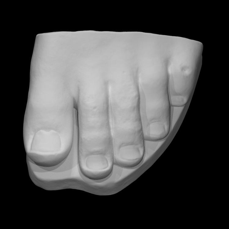 Fragment of a colossal foot