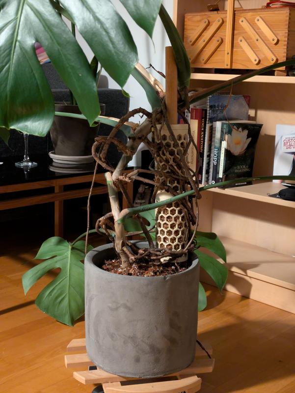 Sturdy moss pole (parametric)