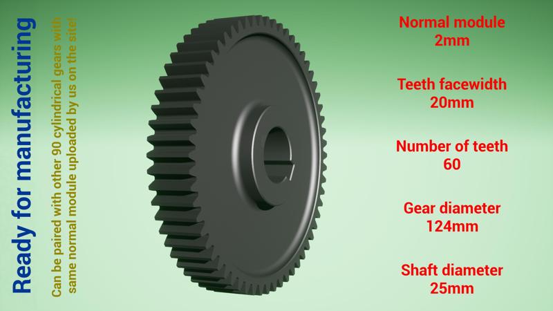 Cylindrical gear - paired - z60 m2 D124 d25