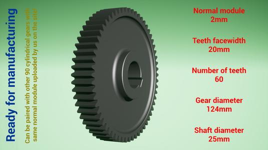 Cylindrical gear - paired - z60 m2 D124 d25