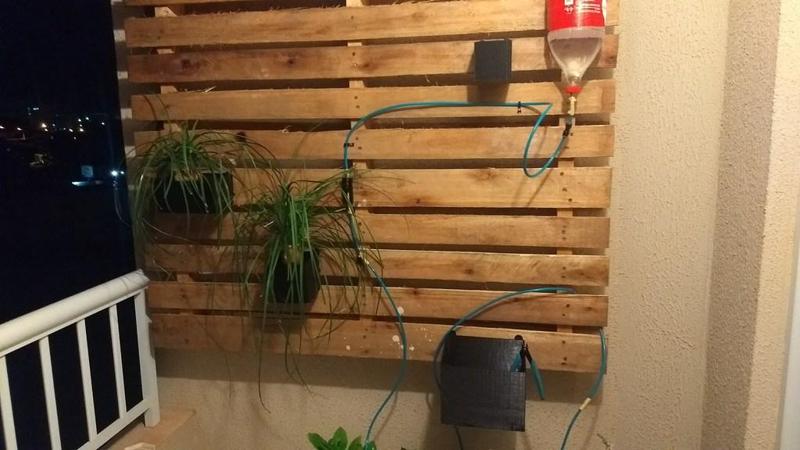 Modular Wall Garden