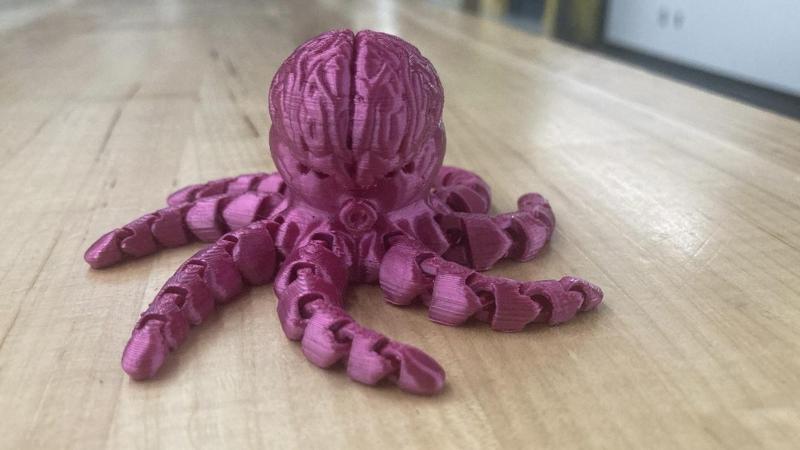 Brain Octopus