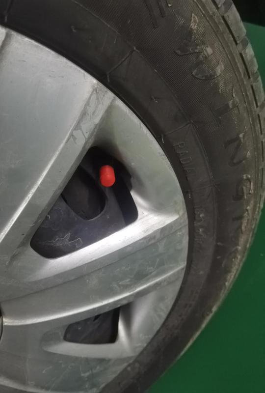 Tire Valve Plugs