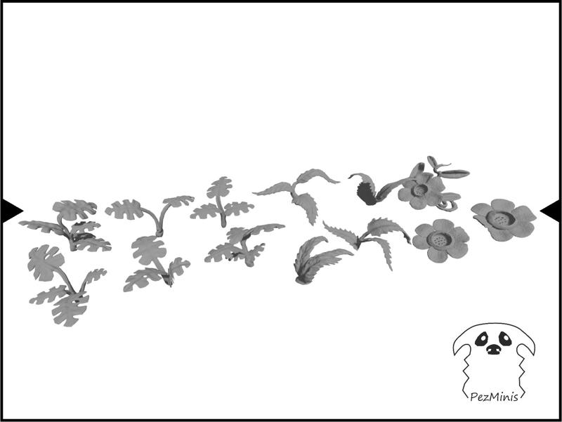 Collection of plants and ferns