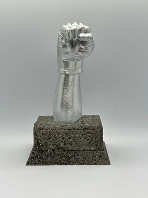 Trophy Second Position of Tekken 8 Tournament