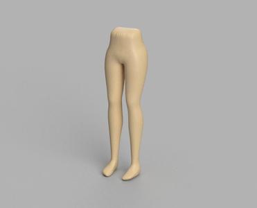 Lower Limb