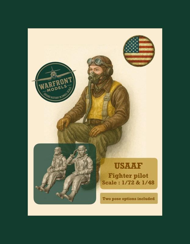 WW2 USAAF Fighter Pilot