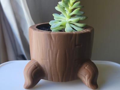 Suculent Stomp Vase 