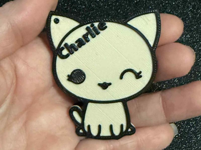 Cat Keychain with name