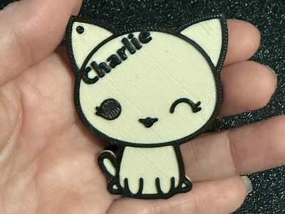 Cat Keychain with name