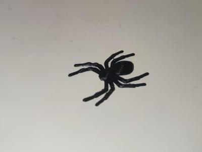Halloween spider