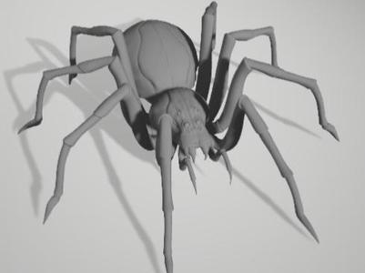 Realistic Scary Spider Halloween decoration 