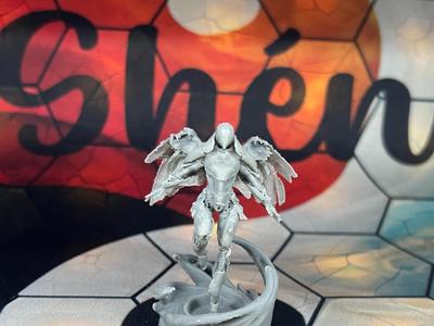 Shen - Hawk Sky Knight