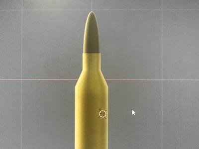 bullet .243 WIN