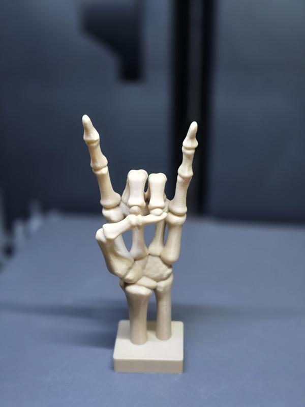 Bone to Rock