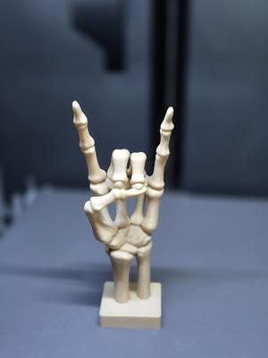 Bone to Rock