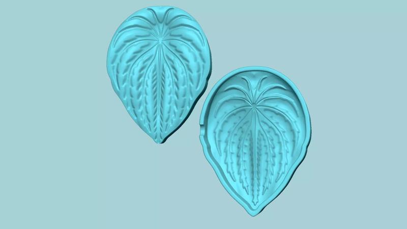 Succulent Watermelon Peperomia - Molding Arrangement EVA Craft