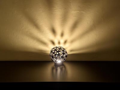 Organic lamp for LED Lamp Kit 001