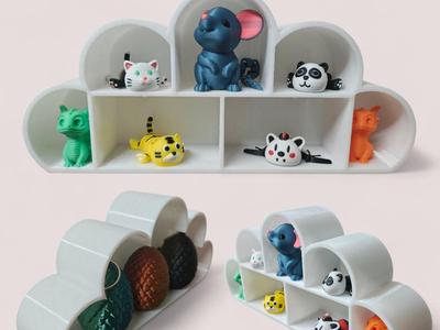 Cloud Display Shelf