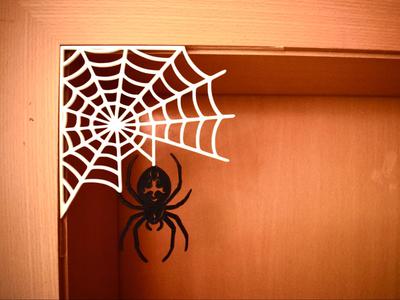 Arachnify - Spider Web
