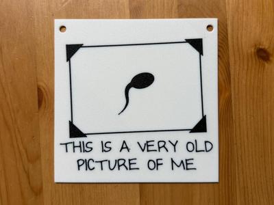 Funny Wall Art