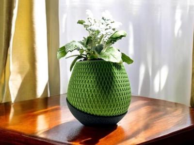 Self-watering Plant Pot 