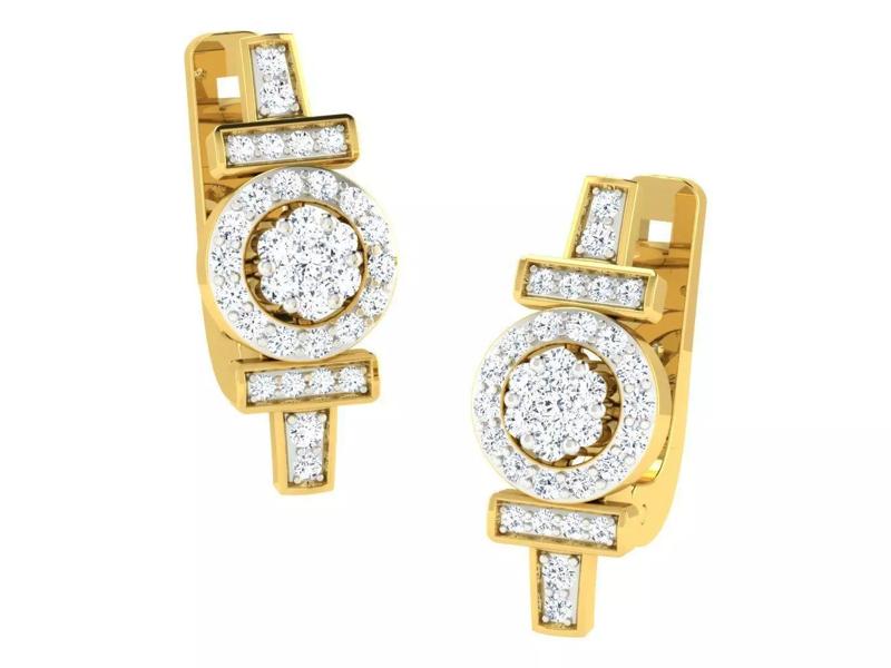 Delicate Fine Earrings