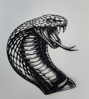 King Cobra