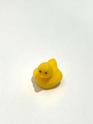 Lots and Lots of Little Ducks