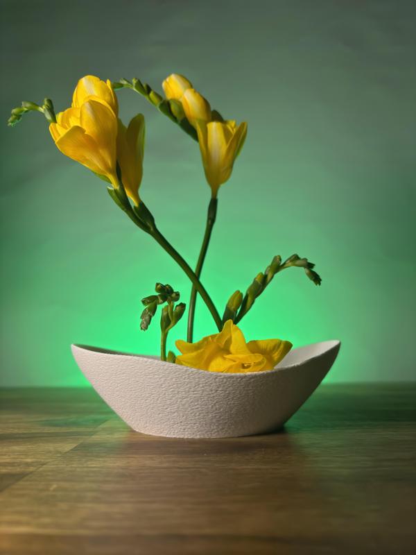 Crescent Moon- Ikebana bowl (Japanese flower arrangement)