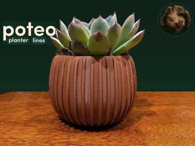 poteo - planter - lines
