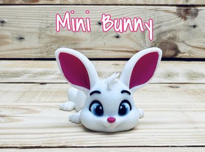 Mini bunny