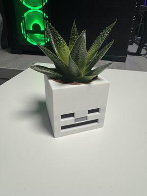 Minecraft Skeletonhead Planter