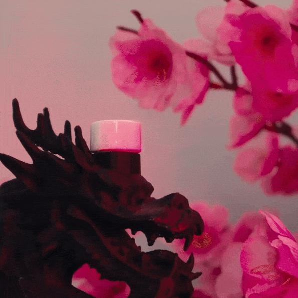 INCENSE HOLDER - DRAGON INCENSE BURNER