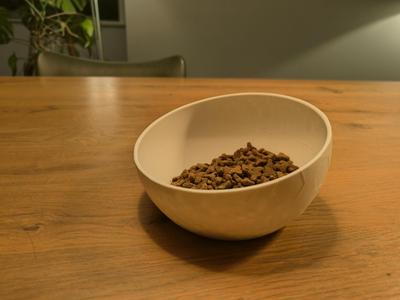Ergonomic cat feeder