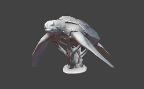 Leatherback Sea Turtle Bust   
